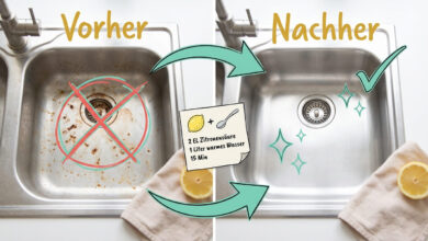 Vorher-Nachher-Vergleich Flugrost entfernen aus Edelstahl-Spüle – links verrostete Spüle mit rotem X, rechts saubere glänzende Spüle, Rezept mit 2 EL Zitronensäure und 1 Liter warmem Wasser für 15 Minuten