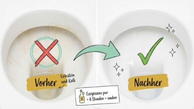Kalk in der Toilette entfernen – Vorher-Nachher-Vergleich: Links Toilettenschüssel mit Urinstein und Kalkablagerungen (rotes X), rechts saubere, weiße Schüssel nach Behandlung (grüner Haken). Methode: Essigessenz pur, 8 Stunden Einwirkzeit.