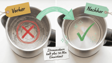 Wasserkocher entkalken – Vorher-Nachher-Vergleich von oben: Links Edelstahl-Wasserkocher mit starken Kalkablagerungen am Boden (rotes X), rechts blitzblanker Wasserkocher nach Behandlung (grüner Haken). Methode: Zitronensäure kalt plus 30 Minuten Einwirkzeit.